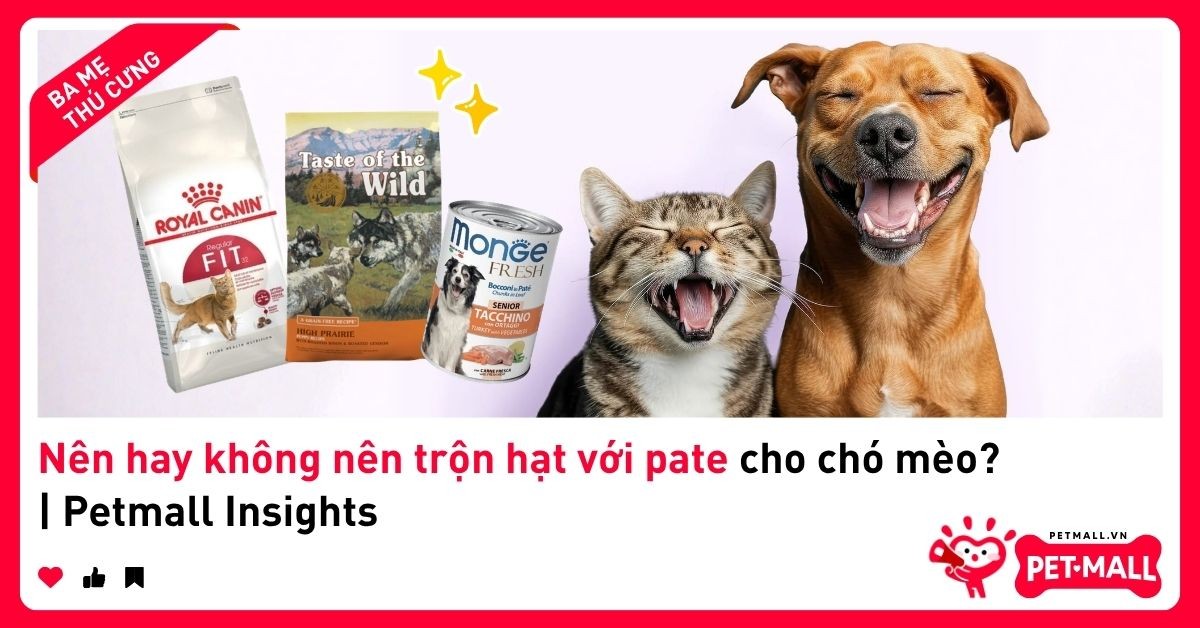 Nên hay không nên trộn hạt với pate cho chó mèo? | Petmall Insights