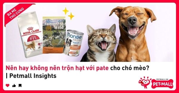 Nên hay không nên trộn hạt với pate cho chó mèo? | Petmall Insights