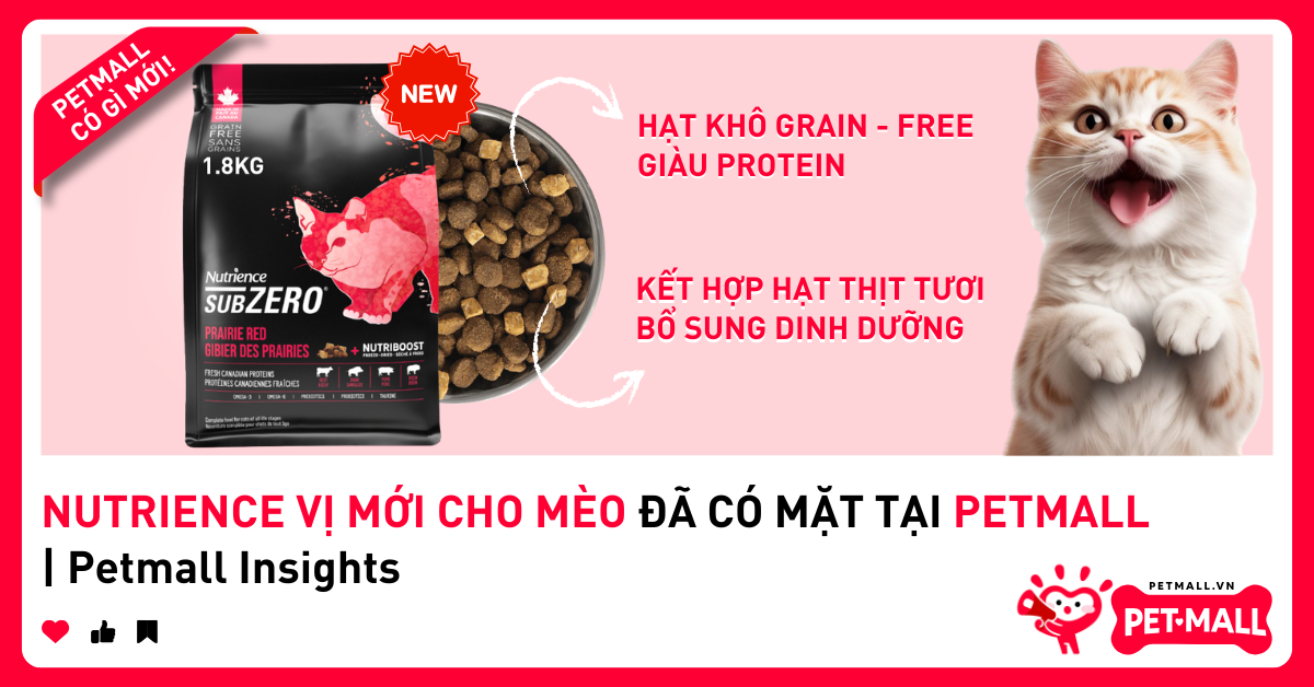 NUTRIENCE VỊ MỚI CHO MÈO ĐÃ CÓ MẶT TẠI PETMALL | Petmall Insights