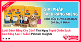 Lười Đánh Răng Cho Cún? Thử Ngay Tuyệt Chiêu Sạch Cao Răng Sau 1 Tuần | Petmall Insights
