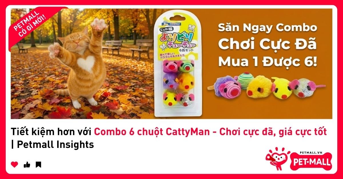 Tiết kiệm hơn với Combo 6 chuột CattyMan - Chơi cực đã, giá cực tốt | Petmall Insights