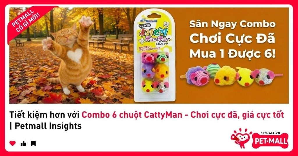 Tiết kiệm hơn với Combo 6 chuột CattyMan - Chơi cực đã, giá cực tốt | Petmall Insights