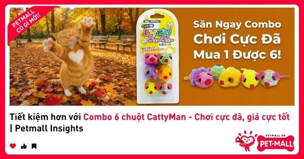 Tiết kiệm hơn với Combo 6 chuột CattyMan - Chơi cực đã, giá cực tốt | Petmall Insights