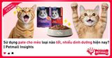 Sử dụng pate cho mèo loại nào tốt, nhiều dinh dưỡng hiện nay? | Petmall Insights