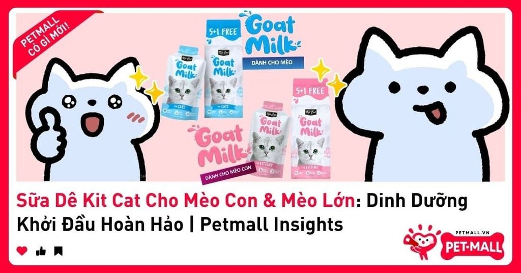 Sữa Dê Kit Cat Cho Mèo Con & Mèo Lớn: Dinh Dưỡng Khởi Đầu Hoàn Hảo | Petmall Insights