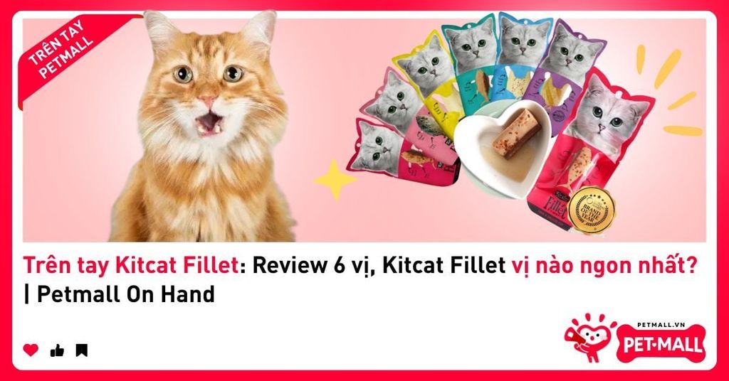 Trên tay Kitcat Fillet: Review 6 vị, Kitcat Fillet vị nào ngon nhất? | Petmall On Hand