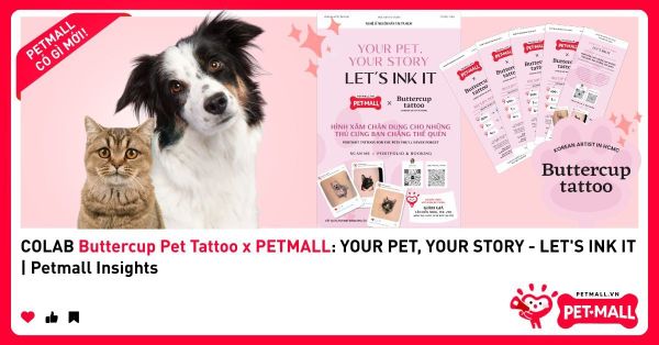 COLAB Buttercup Pet Tattoo x PETMALL: YOUR PET, YOUR STORY - LET'S INK IT | Petmall Insights
