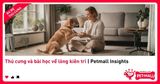 Thú cưng và bài học về lòng kiên trì | Petmall Insights