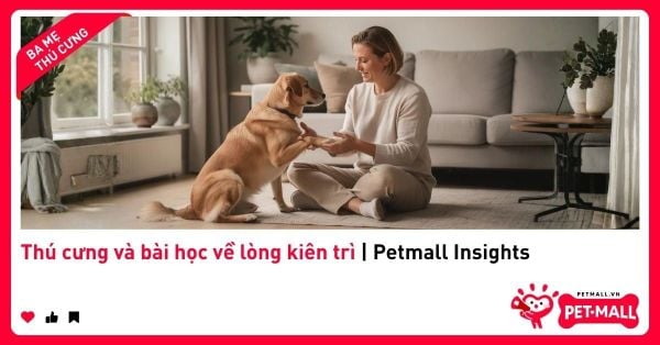 Thú cưng và bài học về lòng kiên trì | Petmall Insights