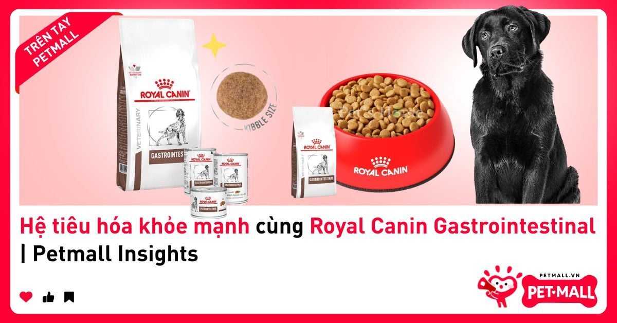Hệ tiêu hóa khỏe mạnh cùng Royal Canin Gastrointestinal | Petmall Insights