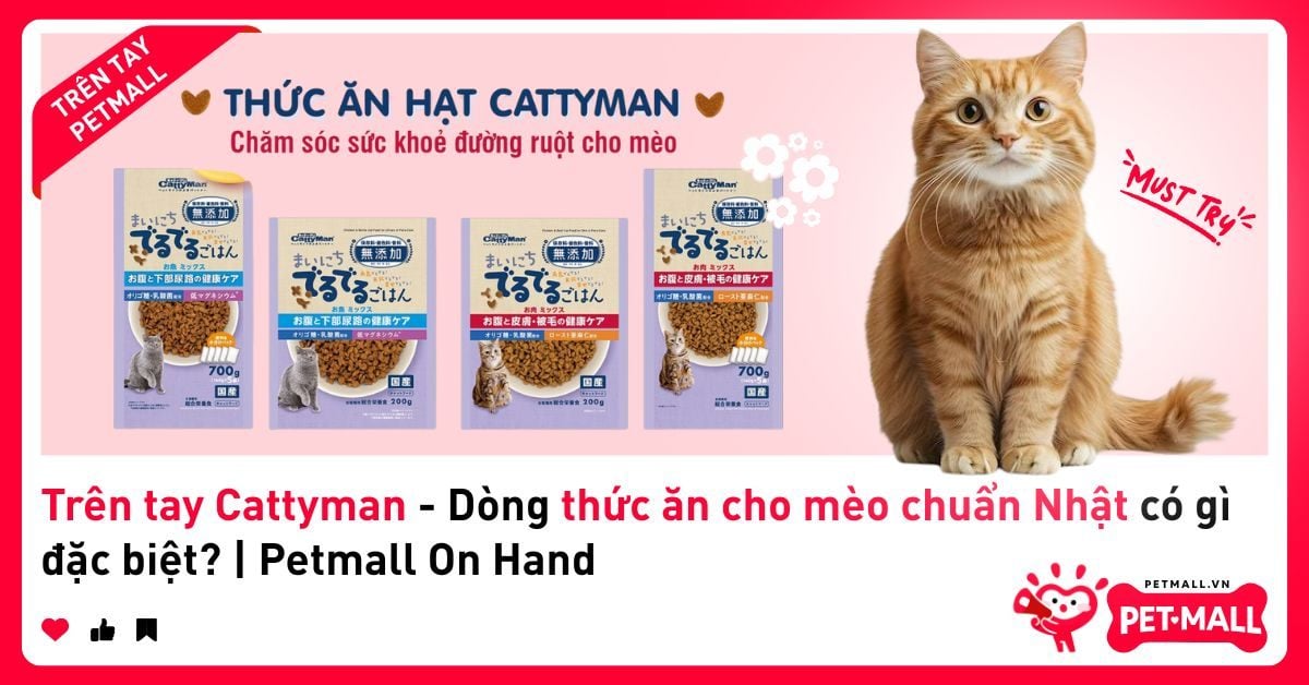 Trên tay Cattyman - Dòng thức ăn cho mèo chuẩn Nhật có gì đặc biệt? | Petmall On Hand