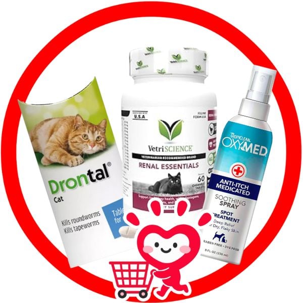 CHĂM SÓC SỨC KHỎE CHO MÈO - CAT HEALTH PROTECTION Shop - Petmall Giao Hàng Nhanh Trong 30 Phút