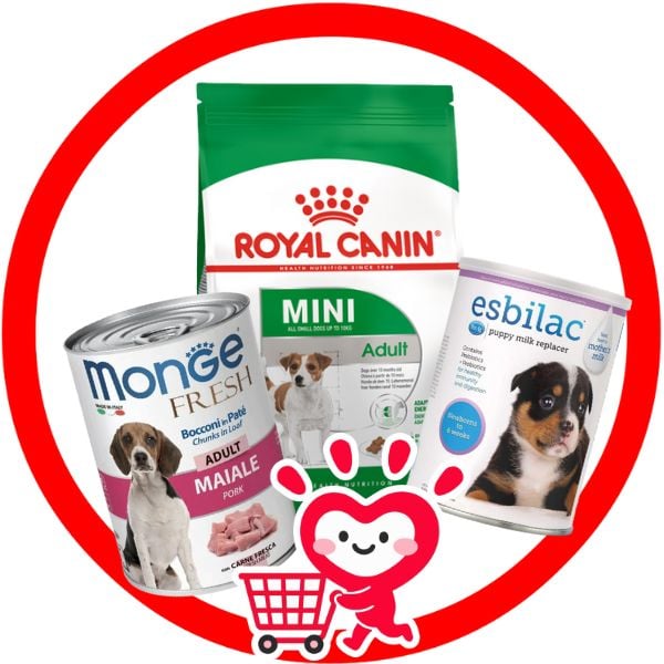 THỨC ĂN, DƯỠNG CHẤT, SỮA - DOG FOOD, SUPPLEMENTS, MILK Shop - Petmall Giao Hàng Nhanh Trong 30 Phút