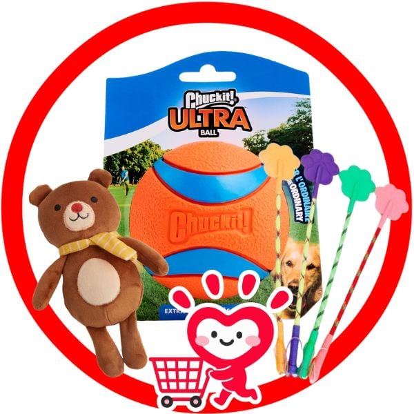 ĐỒ CHƠI, HUẤN LUYỆN - DOG TOYS, TRAINING Shop - Petmall Giao Hàng Nhanh Trong 30 Phút