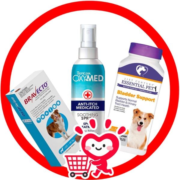 CHĂM SÓC SỨC KHỎE CHO CHÓ - DOG HEALTH PROTECTION Shop - Petmall Giao Hàng Nhanh Trong 30 Phút