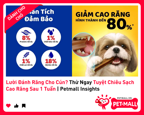 Lười Đánh Răng Cho Cún? Thử Ngay Tuyệt Chiêu Sạch Cao Răng Sau 1 Tuần | Petmall Insights 1