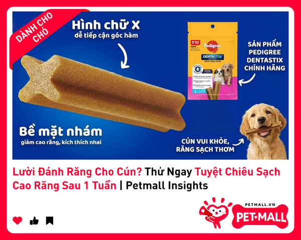 Lười Đánh Răng Cho Cún? Thử Ngay Tuyệt Chiêu Sạch Cao Răng Sau 1 Tuần | Petmall Insights 2