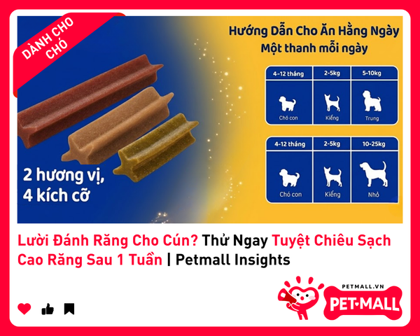 Lười Đánh Răng Cho Cún? Thử Ngay Tuyệt Chiêu Sạch Cao Răng Sau 1 Tuần | Petmall Insights 3
