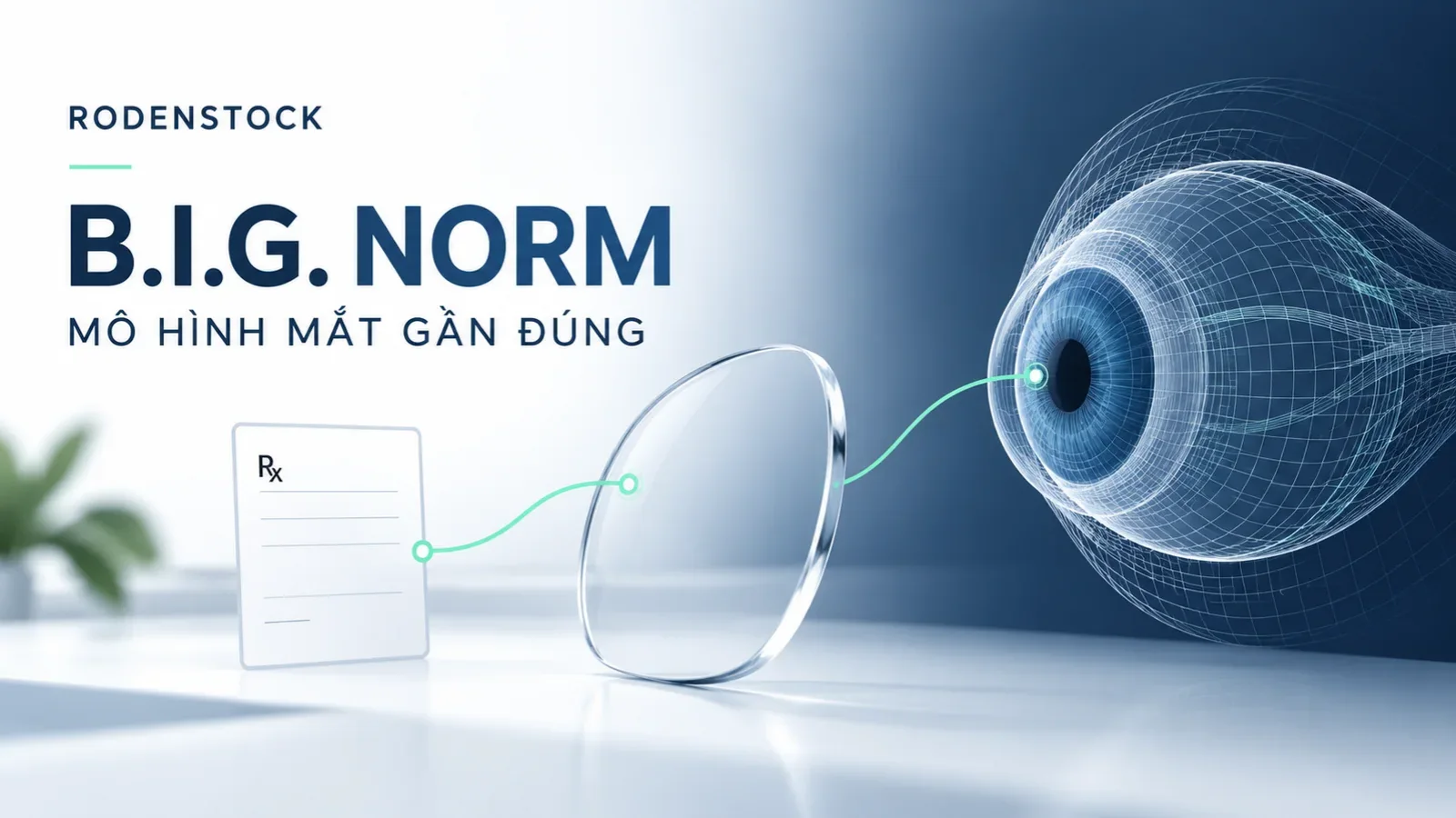 Mô hình mắt sinh trắc học AI Rodenstock B.I.G NORM
