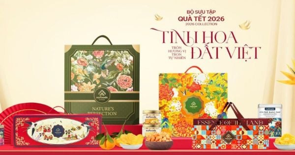 Ra Mắt Bộ Sưu Tập Quà Tết Xuân Bính Ngọ 2026 - Tinh Hoa Đất Việt