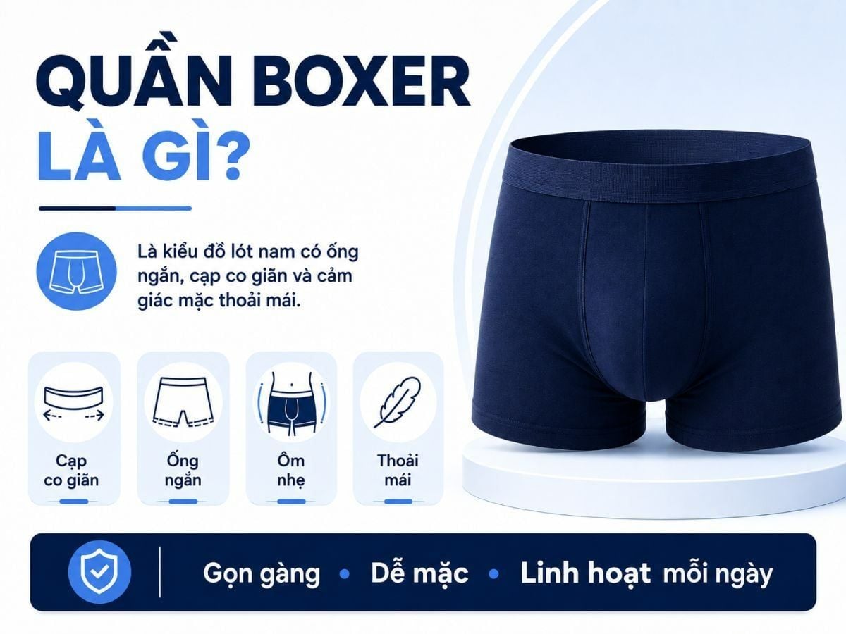 Quần Boxer Là Gì? Phân Biệt Boxer, Trunk Và Brief