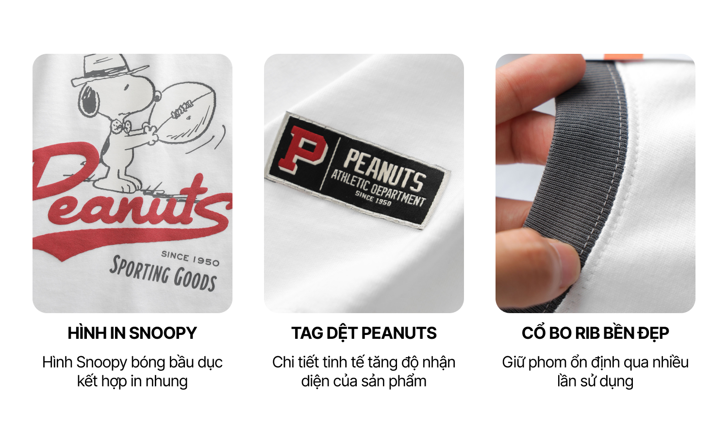 PEANUTS SNOOPY COLLECTION