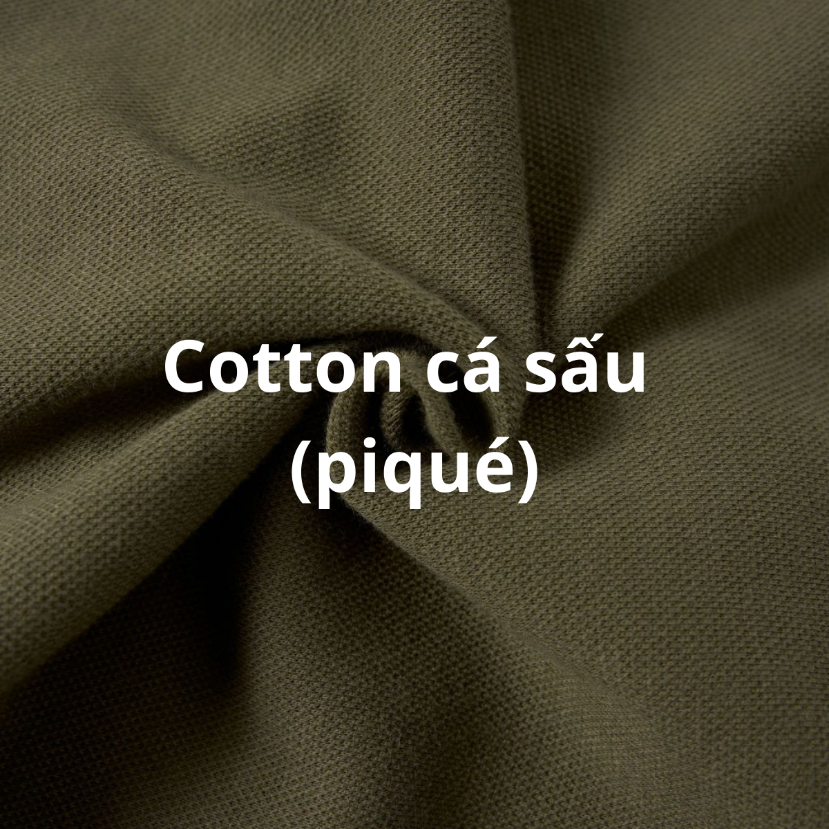 Chất liệu cotton cá sấu piqué cao cấp