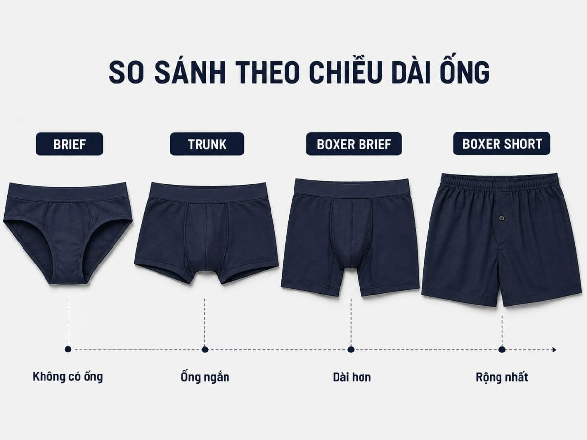 So sánh brief trunk boxer brief và boxer short theo chiều dài ống