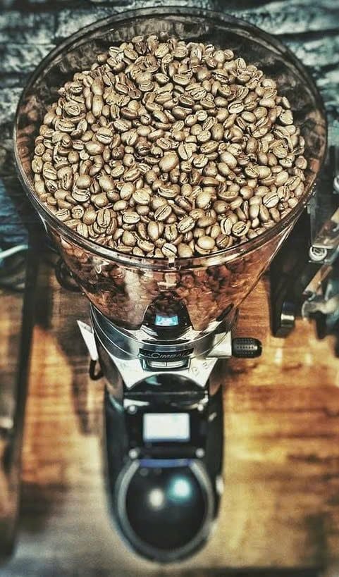 Phễu chứa hạt dụng tích lớn của máy xay cà phê lớn Cimbali coffee grinder