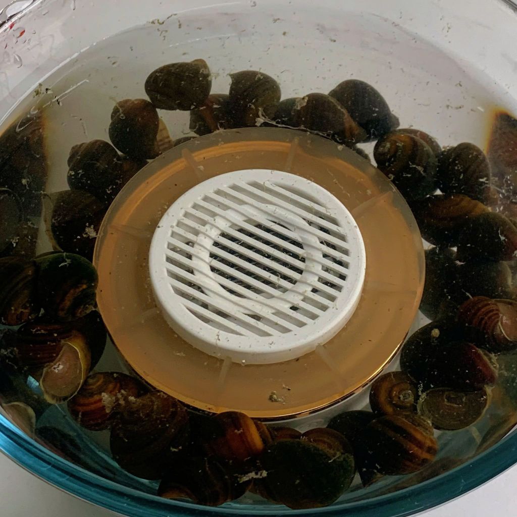 Máy rửa thực phẩm gia đình U Ultty WFX