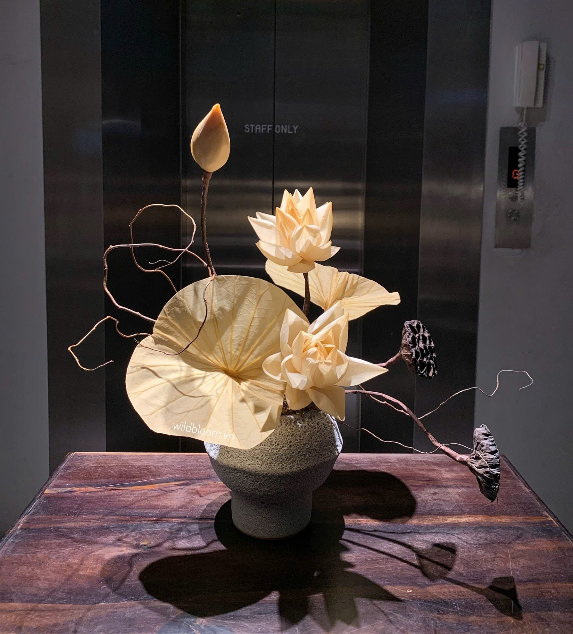 HOA PHONG THỦY NHẤT ĐỊNH PHẢI CÓ TRONG TRANG TRÍ NỘI THẤT