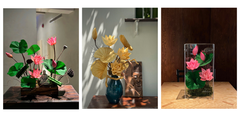 Chọn Quà Tặng Phật Đản: Hoa Sen Khô Preserved Cao Cấp | Wild Bloom