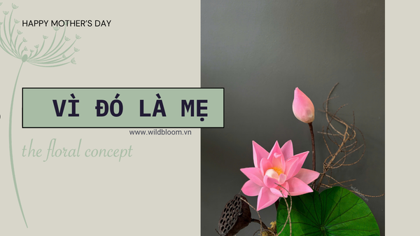 Tôi đã chọn hoa sen – để nói lời cảm ơn mẹ, theo cách của riêng mình
