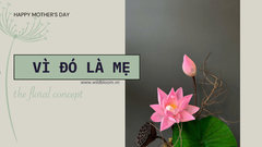 Tôi đã chọn hoa sen – để nói lời cảm ơn mẹ, theo cách của riêng mình
