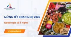Tết Đoan Ngọ là gì? Nguồn gốc và ý nghĩa ngày mùng 5 tháng 5