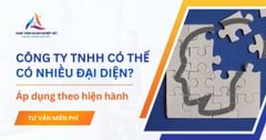 Công ty TNHH có thể có nhiều người đại diện pháp luật không?