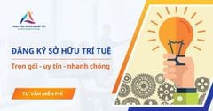 Dịch vụ đăng ký sở hữu trí tuệ tại HTDNV trọn gói, nhanh chóng