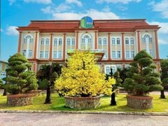 CÔNG TY LƯƠNG THỰC TIỀN GIANG VINH DỰ ĐƯỢC CÔNG NHẬN ĐIỂN HÌNH PHONG TRÀO TOÀN DÂN BẢO VỆ AN NINH TỔ QUỐC NĂM 2025