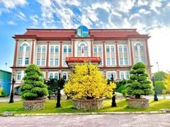 THÔNG ĐIỆP TIGIFOOD NĂM 2026