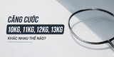 Căng Cước Cầu Lông 10–13kg: Mức Nào Phù Hợp Với Bạn?