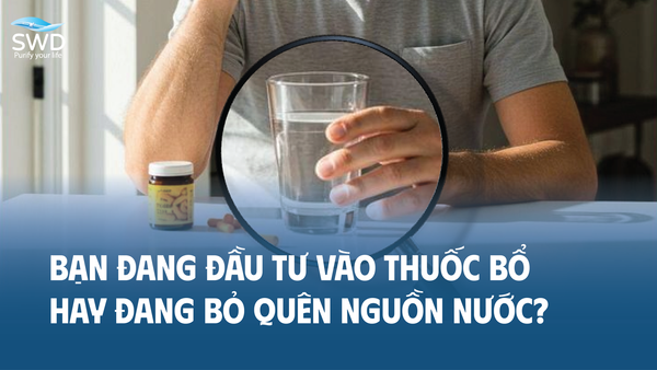 Bạn Đang Đầu Tư Vào Thuốc Bổ Hay Đang Bỏ Quên Nguồn Nước ?