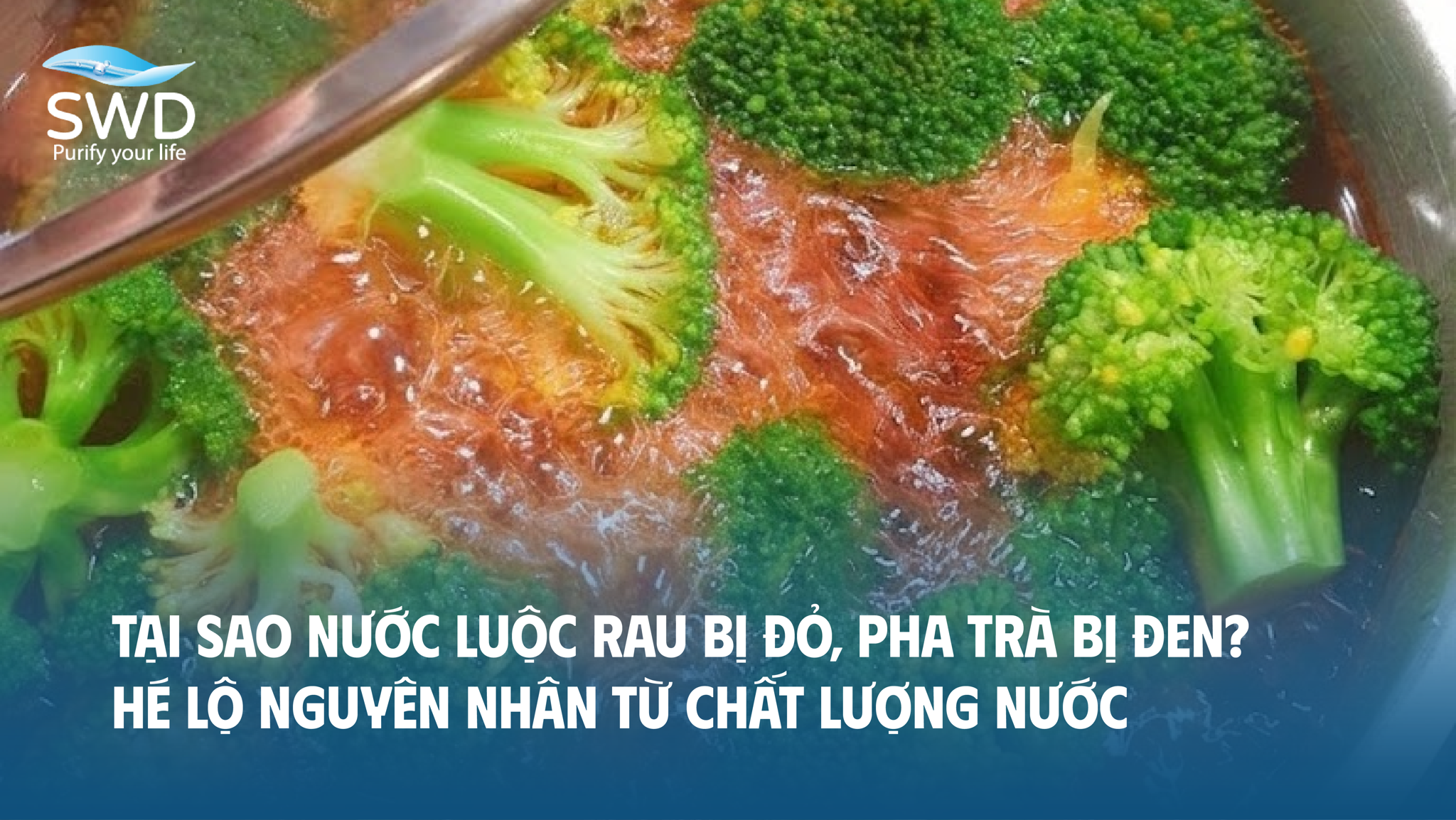Tại sao nước luộc rau bị đỏ, pha trà bị đen? Hé lộ nguyên nhân từ chất lượng nước