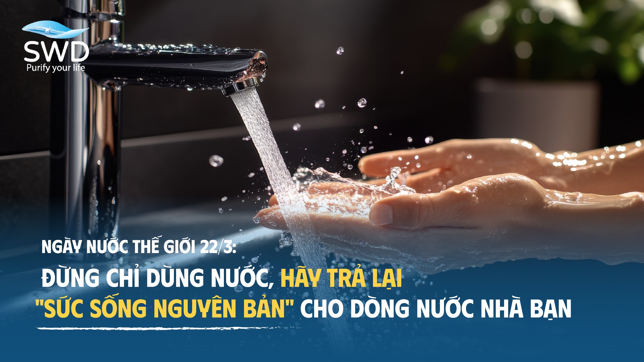 Ngày Nước Thế Giới 22/3: Đừng chỉ dùng nước, hãy trả lại 