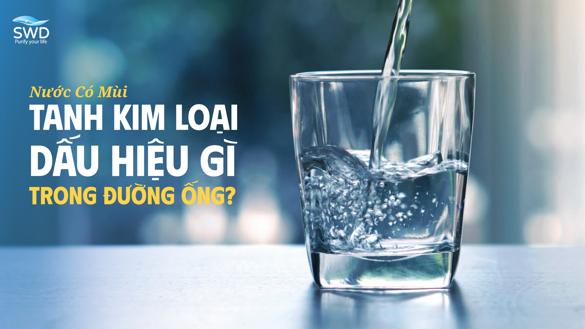 NƯỚC CÓ MÙI TANH KIM LOẠI – DẤU HIỆU GÌ TRONG ĐƯỜNG ỐNG?