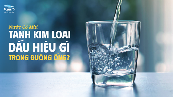 NƯỚC CÓ MÙI TANH KIM LOẠI – DẤU HIỆU GÌ TRONG ĐƯỜNG ỐNG?