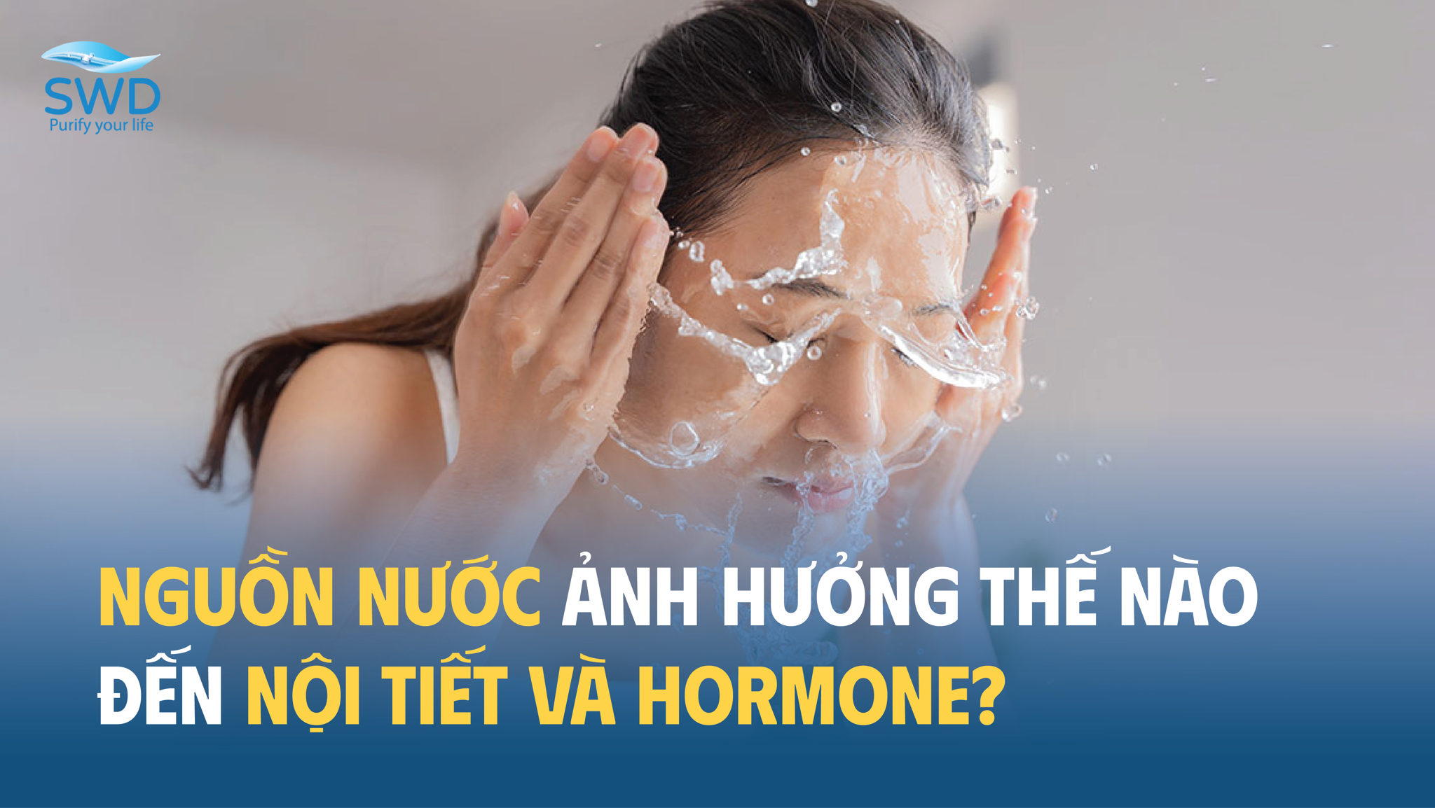 Nguồn Nước Ảnh Hưởng Thế Nào Đến Nội Tiết Và Hormone?
