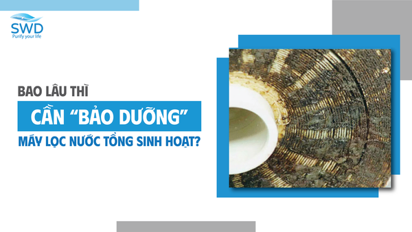 Bao Lâu Thì Cần Bảo Dưỡng Máy Lọc Nước Là Hợp Lý?