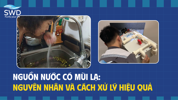 Nước có mùi lạ: Nguyên nhân & cách xử lý hiệu quả