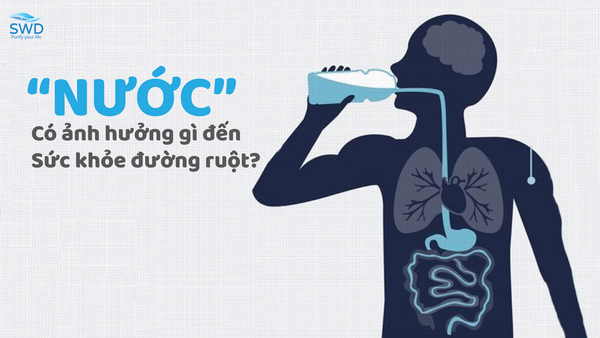 NƯỚC CÓ ẢNH HƯỞNG GÌ ĐẾN SỨC KHỎE ĐƯỜNG RUỘT?