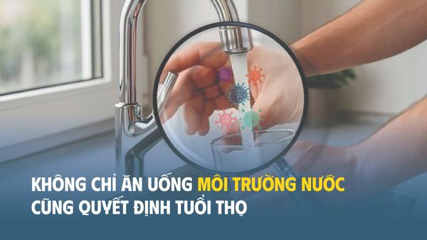 Không chỉ ăn uống – môi trường nước cũng quyết định tuổi thọ